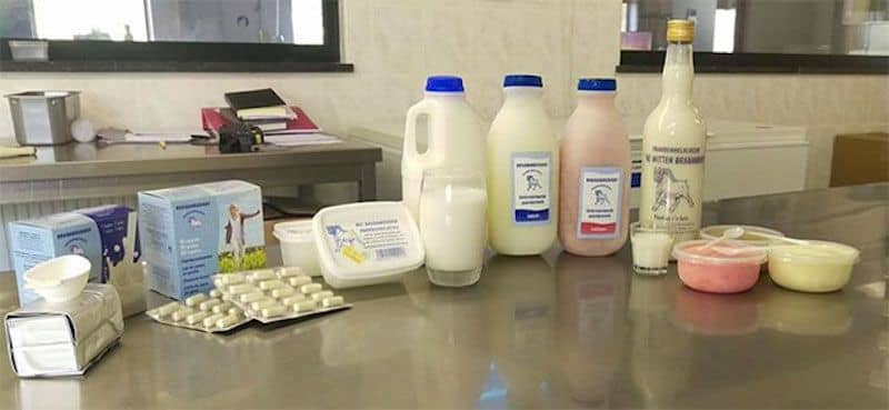 Productos de leche de yegua